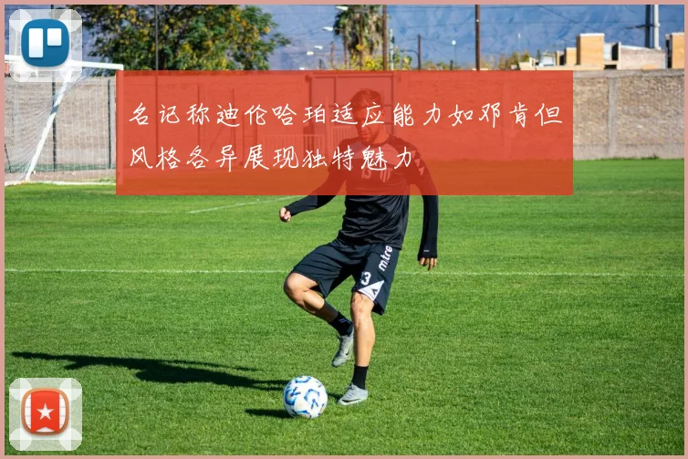 名记称迪伦哈珀适应能力如邓肯但风格各异展现独特魅力