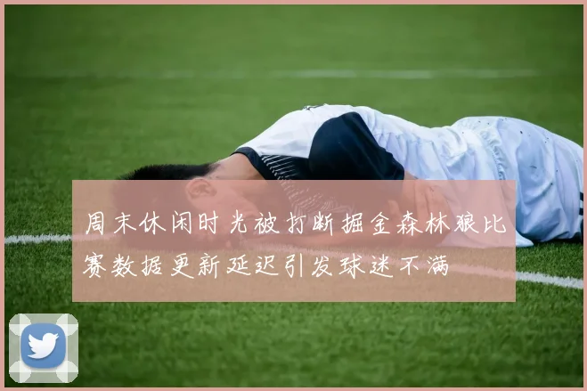 周末休闲时光被打断掘金森林狼比赛数据更新延迟引发球迷不满